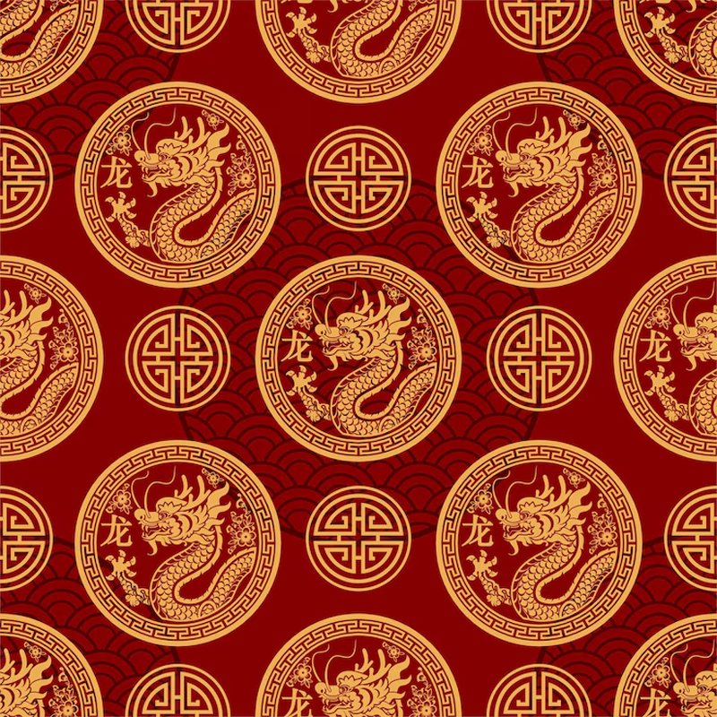 Estampa Dragão - Camisa Dry Fit